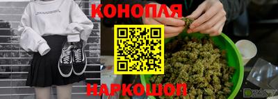 сатива Обь