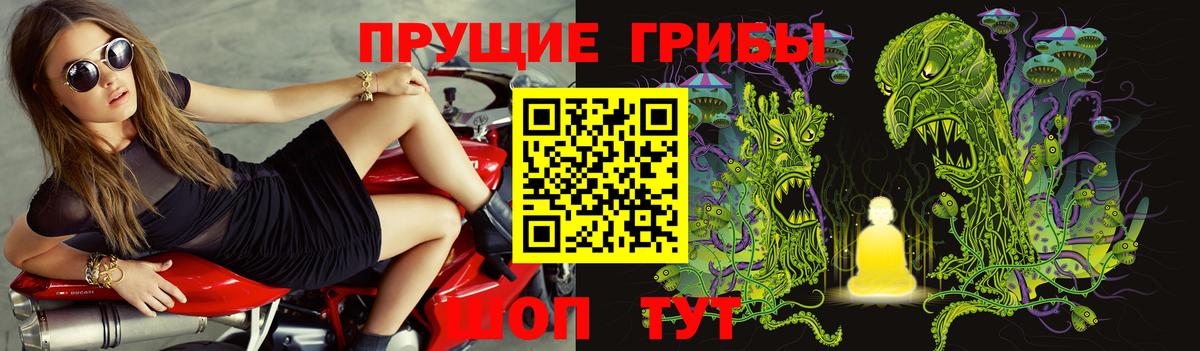Новотроицк  Псилоцибиновые грибы мицелий  Галлюциногенные грибы мухоморы  Вход с VPN 
