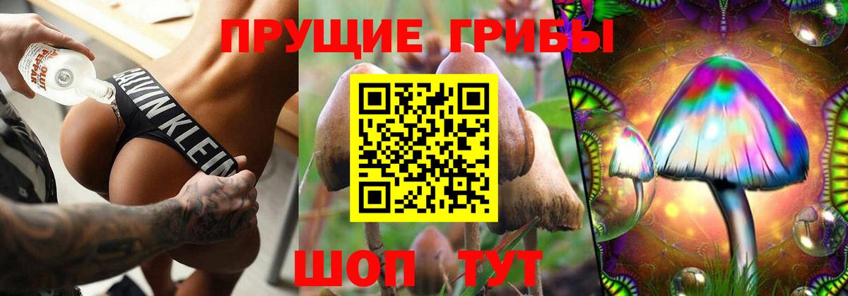 Галлюциногенные грибы мицелий Новотроицк